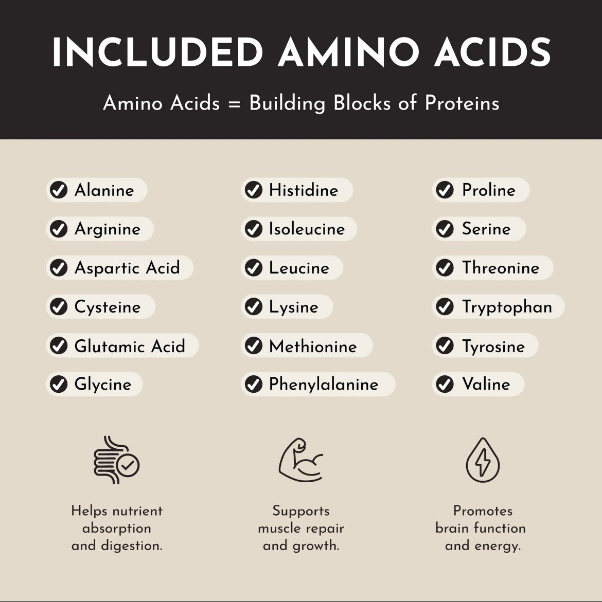 Vanilla Bean - Protein Powder