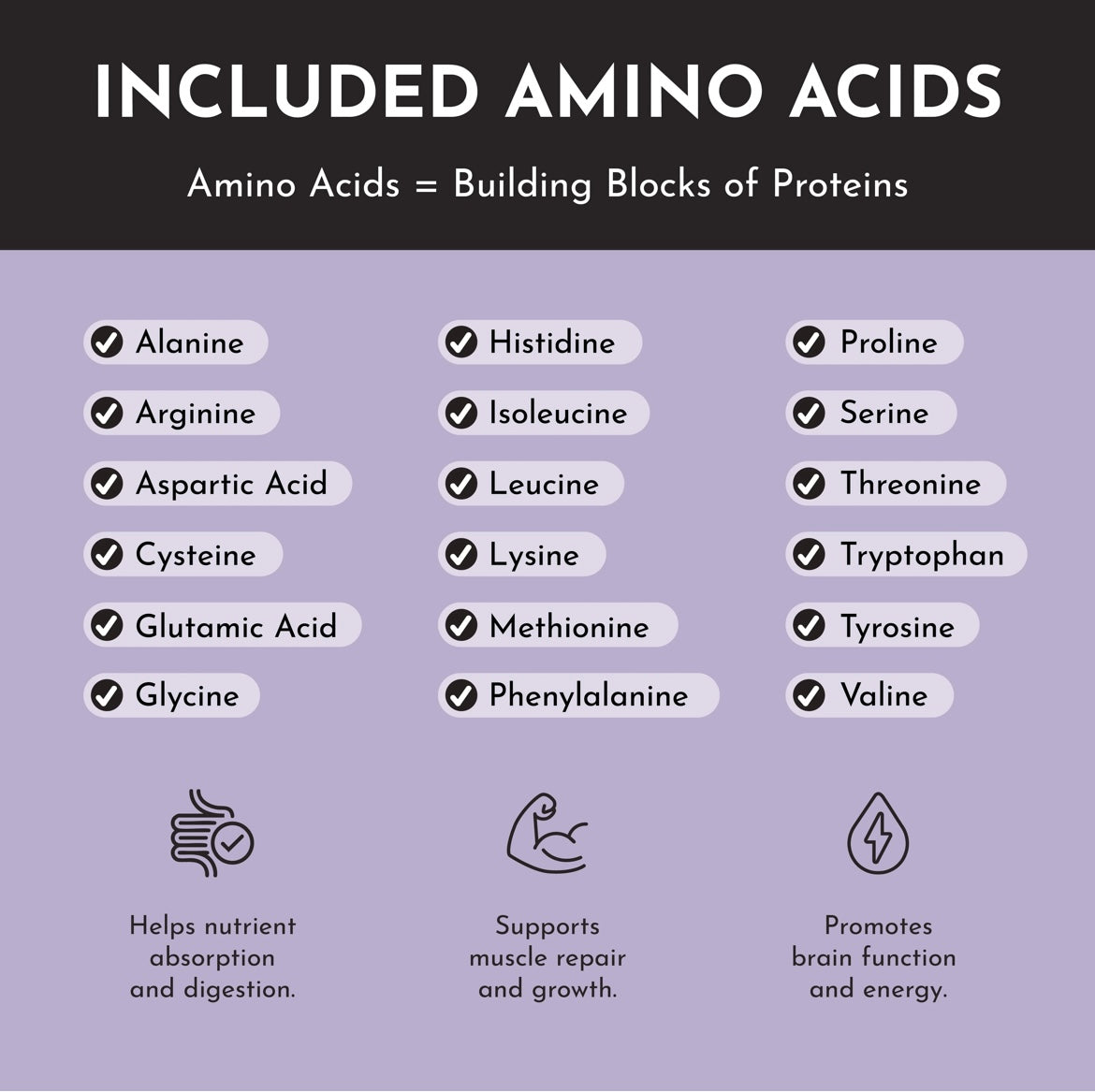 Mountain Berry - Protein Powder