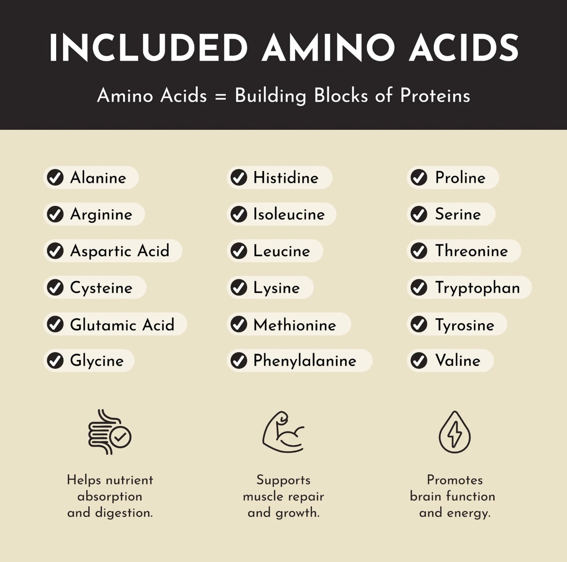 Just Plain - Protein Powder