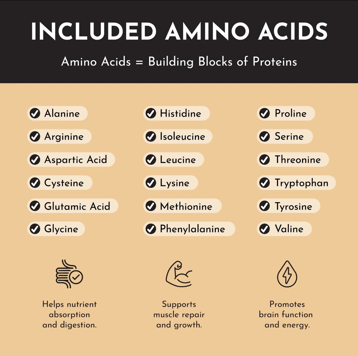 French Vanilla - Protein Powder