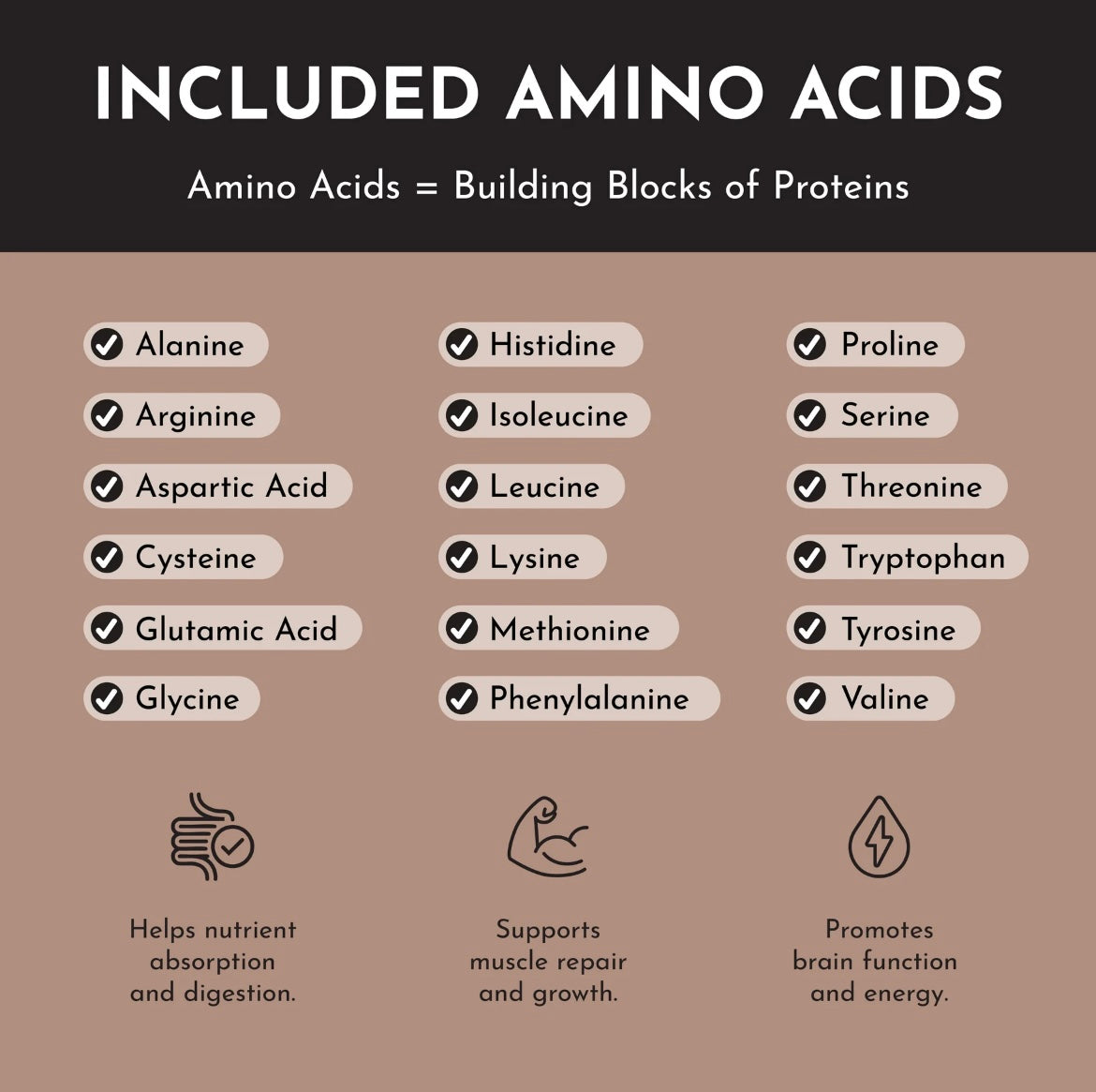 Chocolate - Protein Powder