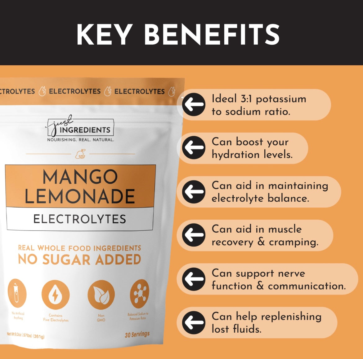 Mango Lemonade Electrolyte Powder