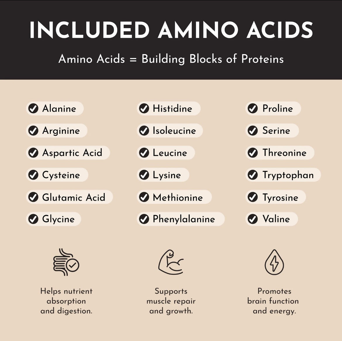 Chai - Protein Powder