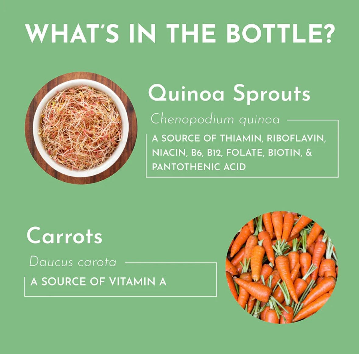 Multivitamin Supplement