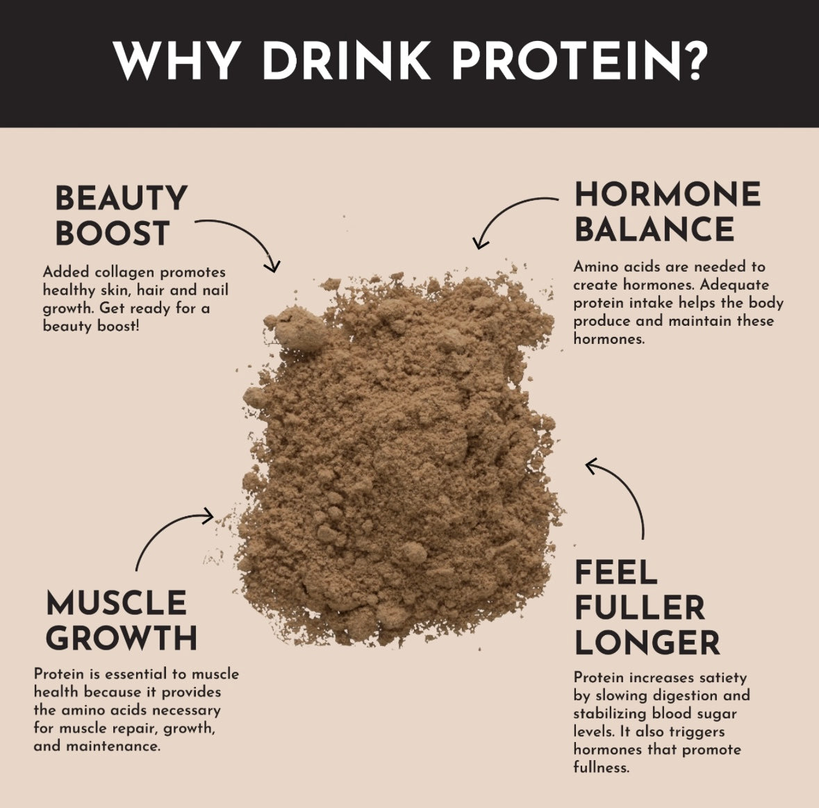 Creamy Peanut Butter Chocolate - Protein Powder