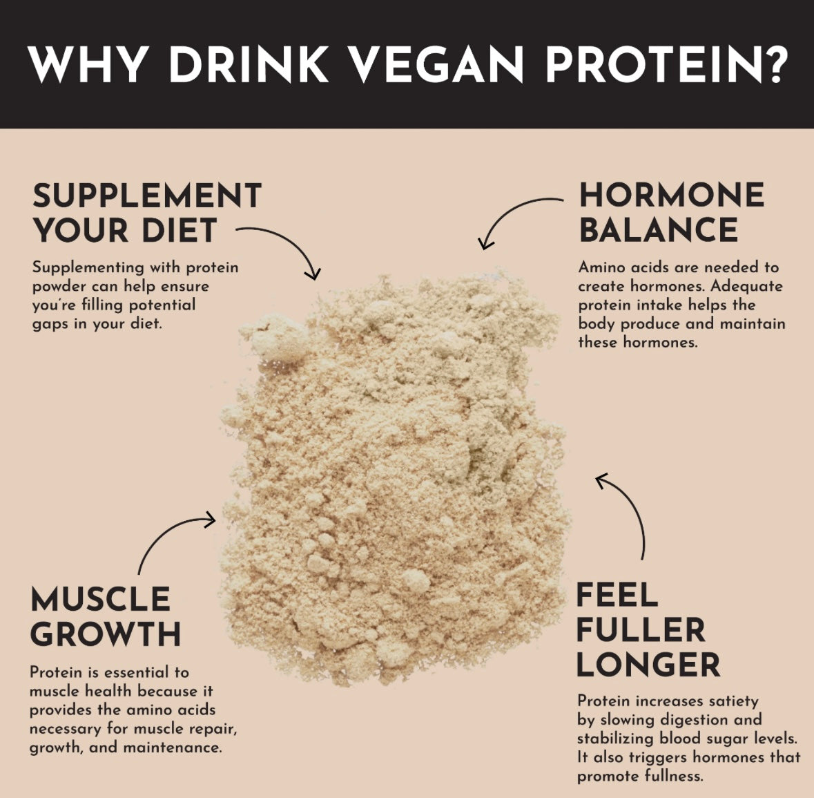 Vegan Snickerdoodle - Protein Powder