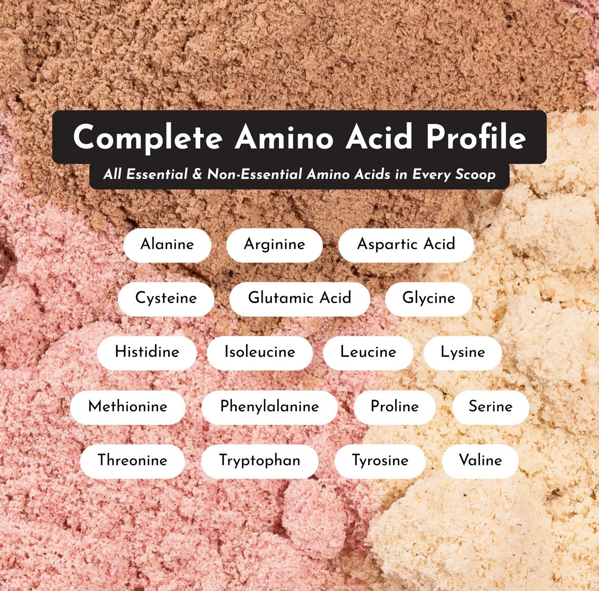 Chocolate Peppermint - Protein Powder
