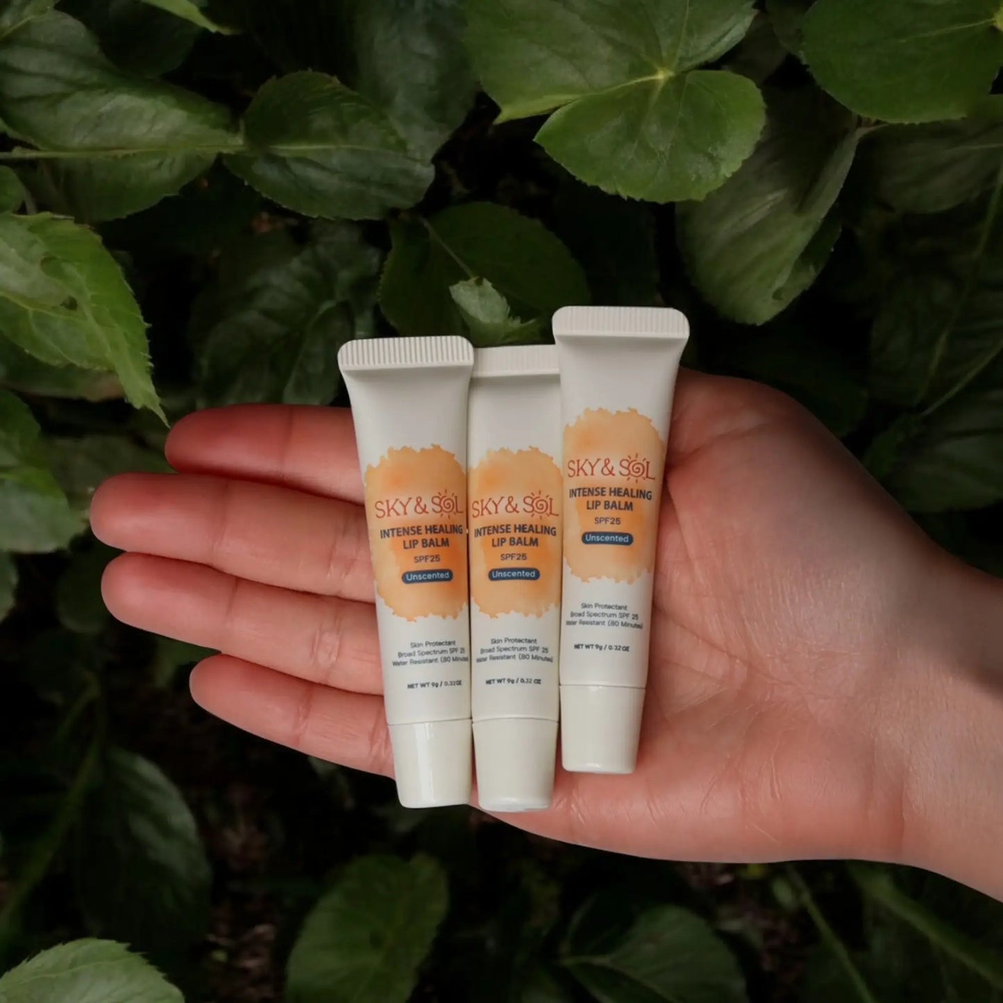 Lip Jelly SPF 25 (Pack of 3) – Natural Tallow Lip Balm